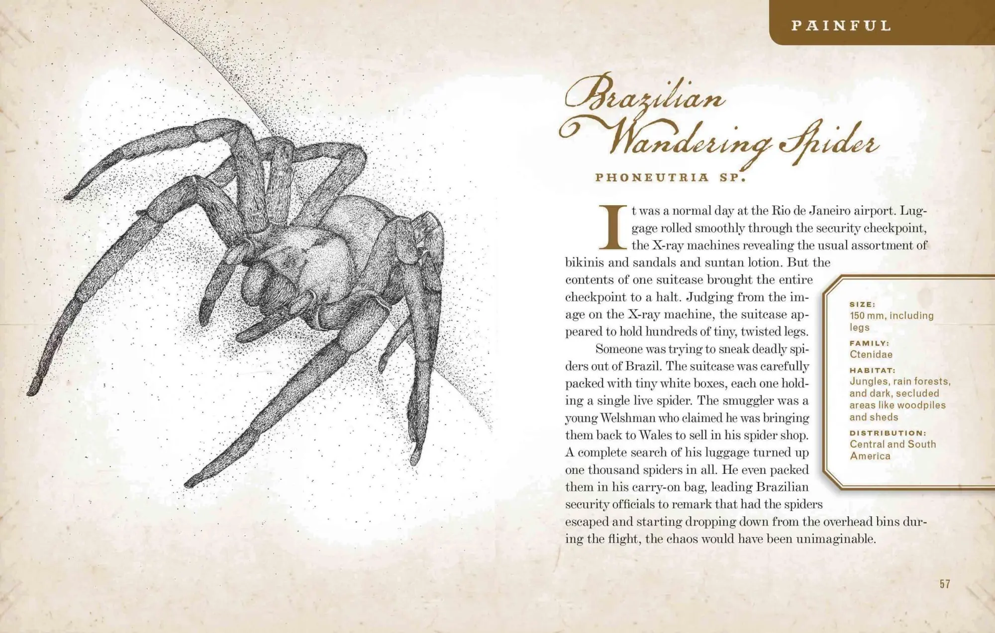 Bild: 9781565129603 | Wicked Bugs | Amy Stewart | Buch | Gebunden | Englisch | 2011