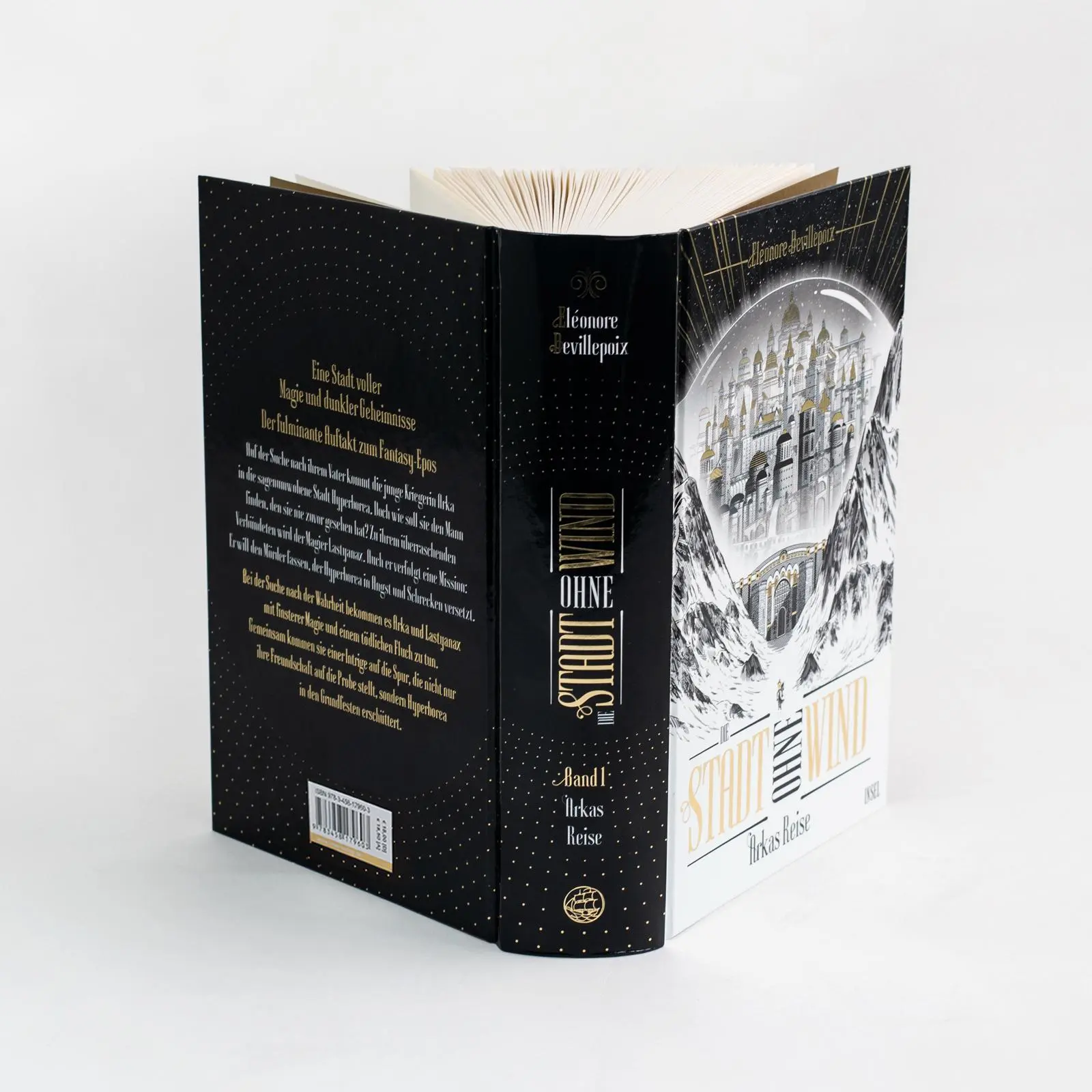 Bild: 9783458179603 | Die Stadt ohne Wind Band 1 - Arkas Reise | Éléonore Devillepoix | Buch
