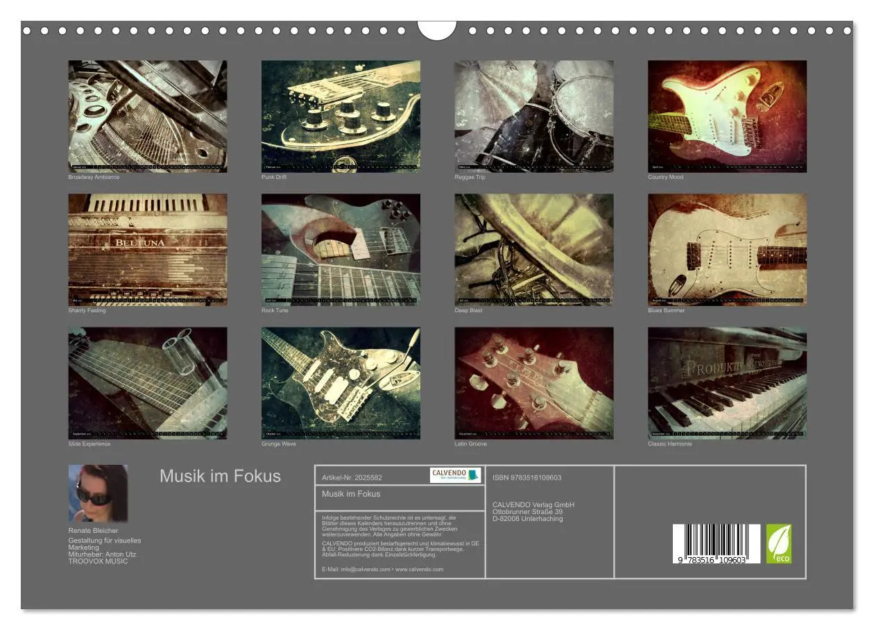 Bild: 9783516109603 | Musik im Fokus (Wandkalender 2026 DIN A3 quer), CALVENDO...