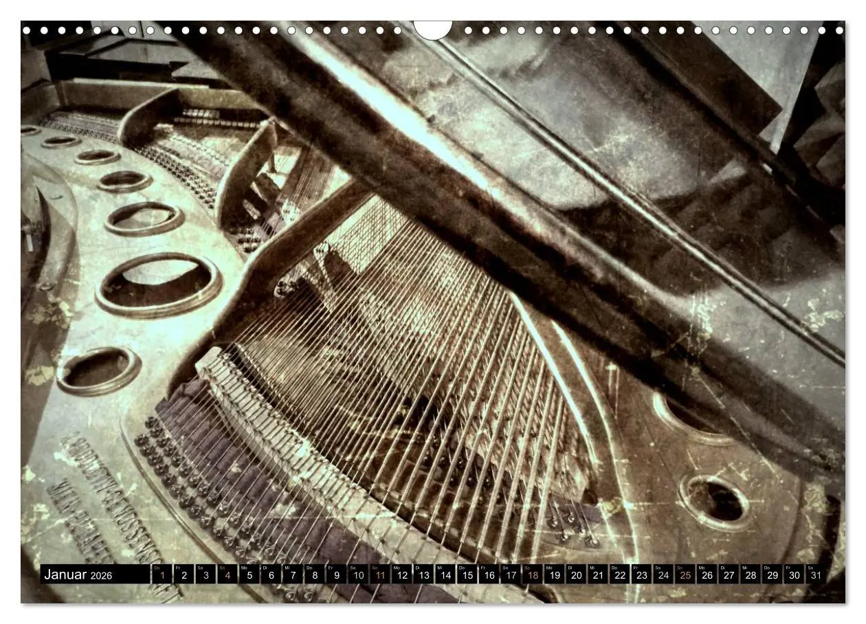 Bild: 9783516109603 | Musik im Fokus (Wandkalender 2026 DIN A3 quer), CALVENDO...