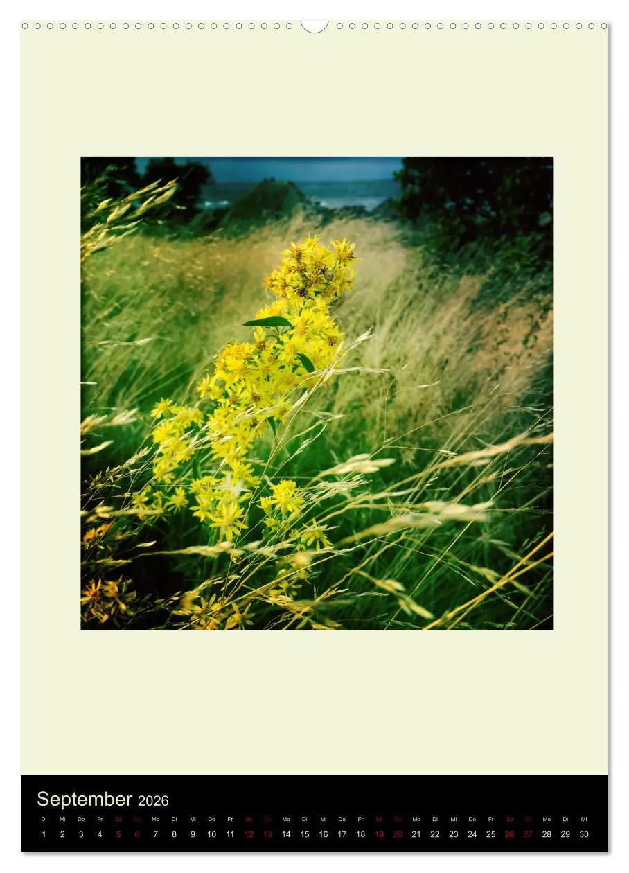 Bild: 9783516419603 | Insel für die Seele Bornholm (hochwertiger Premium Wandkalender...