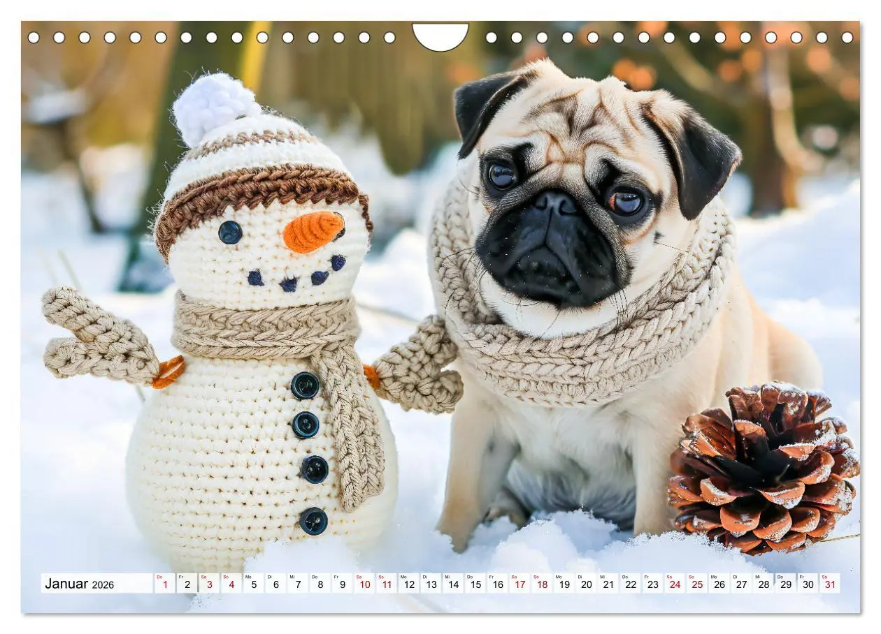 Bild: 9783457319703 | Mops-Mania - Der Spaßkalender für Mops-Fans (Wandkalender 2026 DIN...