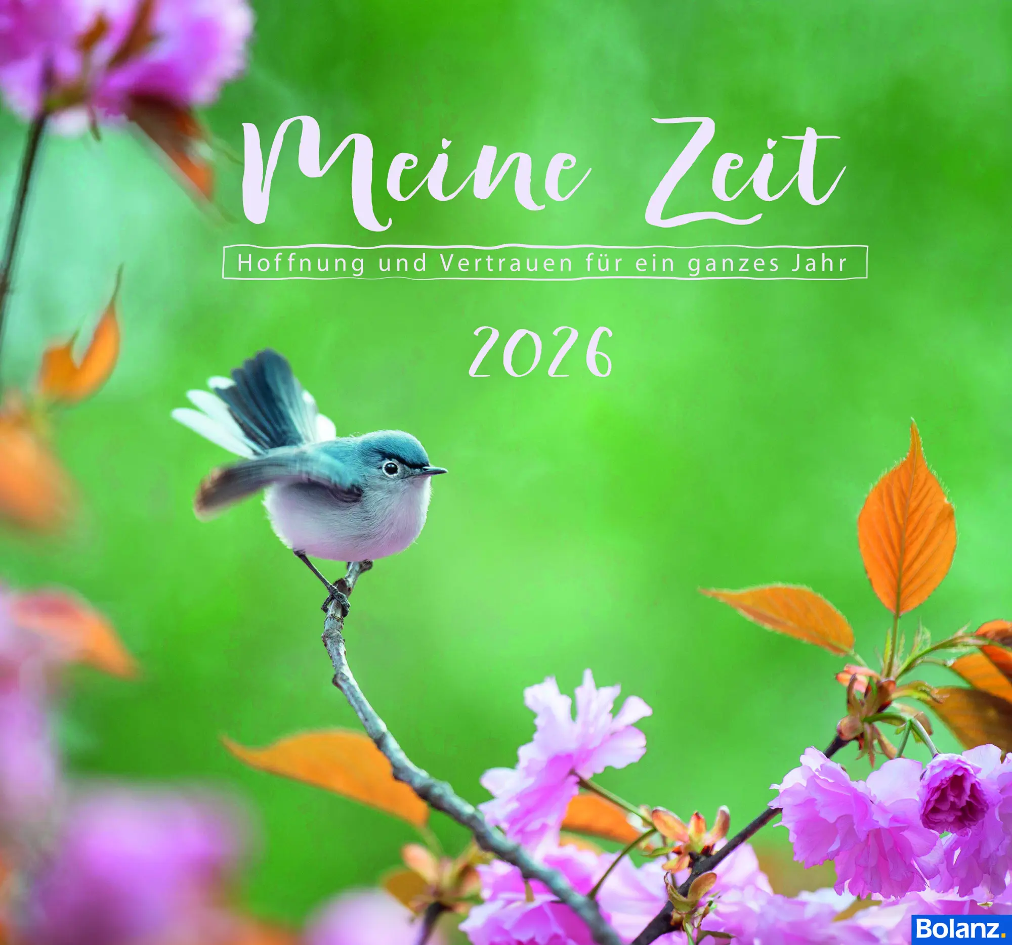 Cover: 9783866039803 | Meine Zeit 2026 | Erich Remmers | Kalender | 13 S. | Deutsch | 2026