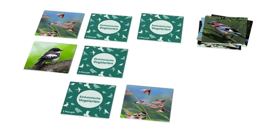 Bild: 9783258800004 | Einheimische Vogelarten - das Memo-Spiel | Haupt Verlag | Spiel | 2024