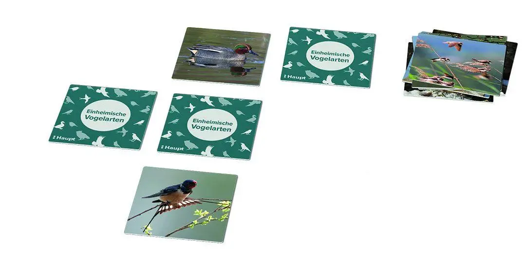 Bild: 9783258800004 | Einheimische Vogelarten - das Memo-Spiel | Haupt Verlag | Spiel | 2024
