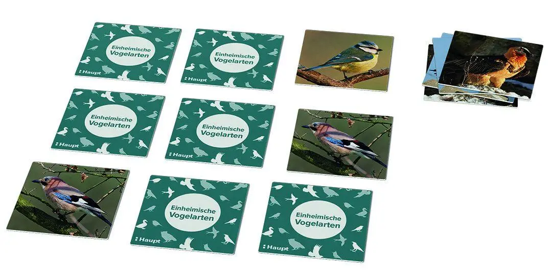 Bild: 9783258800004 | Einheimische Vogelarten - das Memo-Spiel | Haupt Verlag | Spiel | 2024