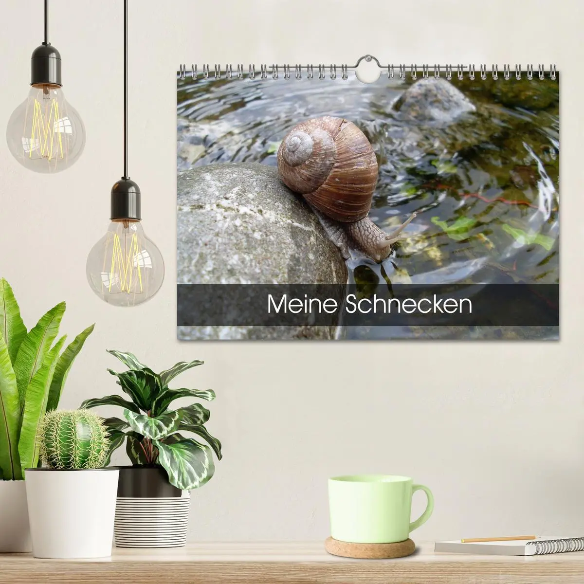 Bild: 9783457960004 | Meine Schnecken (Wandkalender 2026 DIN A4 quer), CALVENDO...