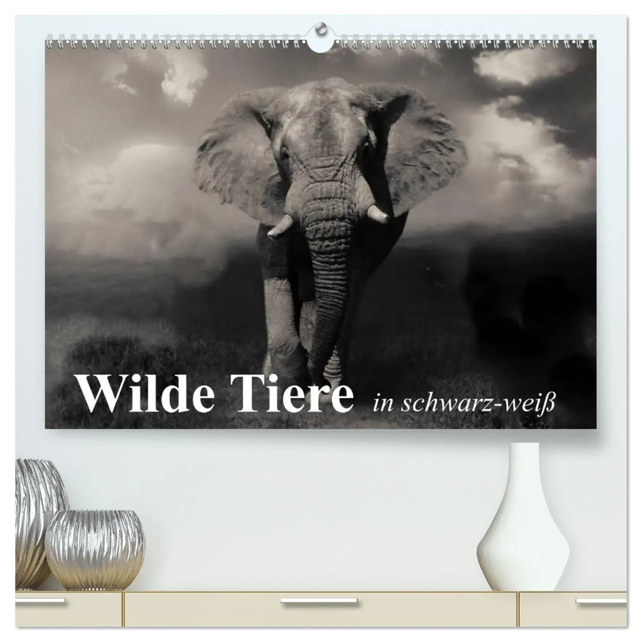Cover: 9783516050004 | Wilde Tiere in schwarz-weiß (hochwertiger Premium Wandkalender 2026...