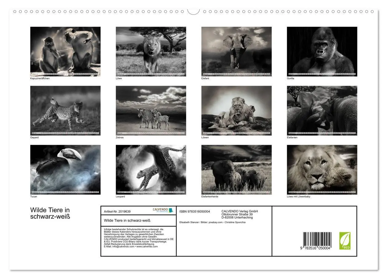 Bild: 9783516050004 | Wilde Tiere in schwarz-weiß (hochwertiger Premium Wandkalender 2026...