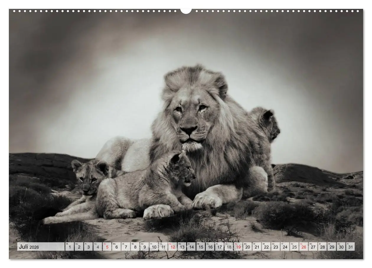 Bild: 9783516050004 | Wilde Tiere in schwarz-weiß (hochwertiger Premium Wandkalender 2026...