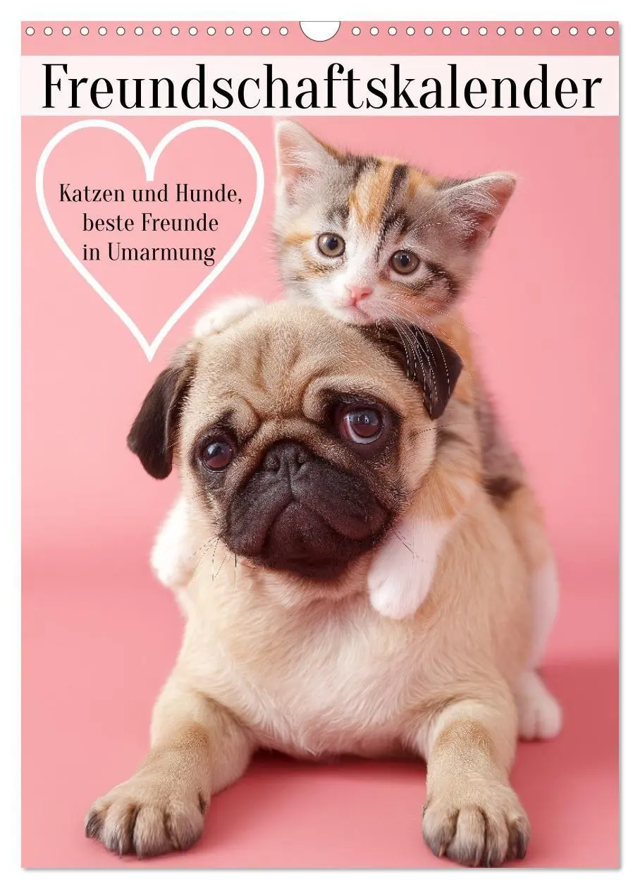 Cover: 9783516670004 | Freundschaftskalender - Katzen und Hunde, beste Freunde in Umarmung...