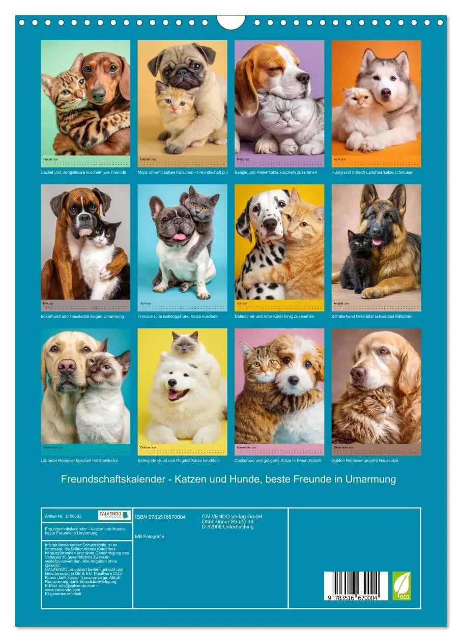 Bild: 9783516670004 | Freundschaftskalender - Katzen und Hunde, beste Freunde in Umarmung...