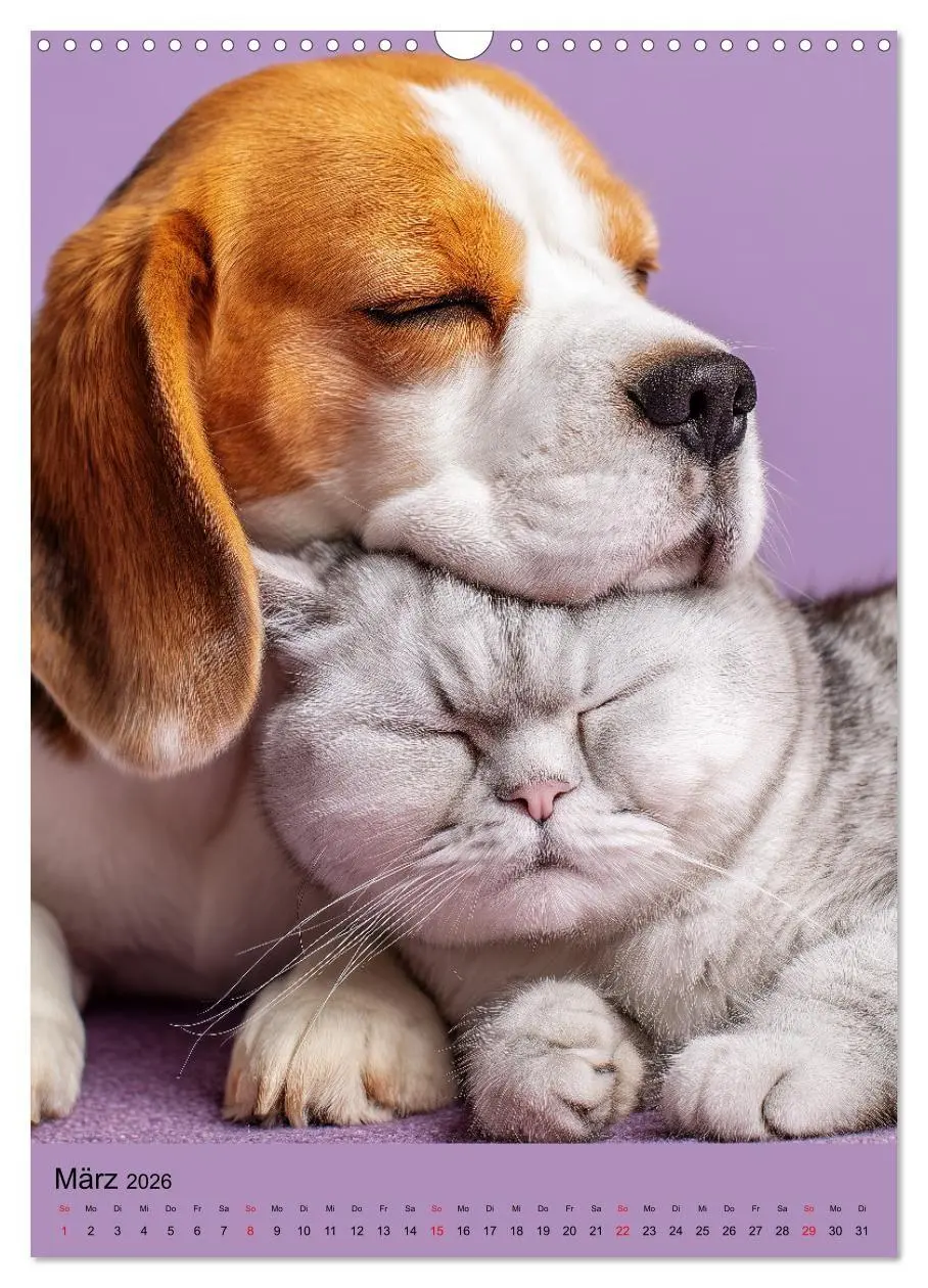 Bild: 9783516670004 | Freundschaftskalender - Katzen und Hunde, beste Freunde in Umarmung...