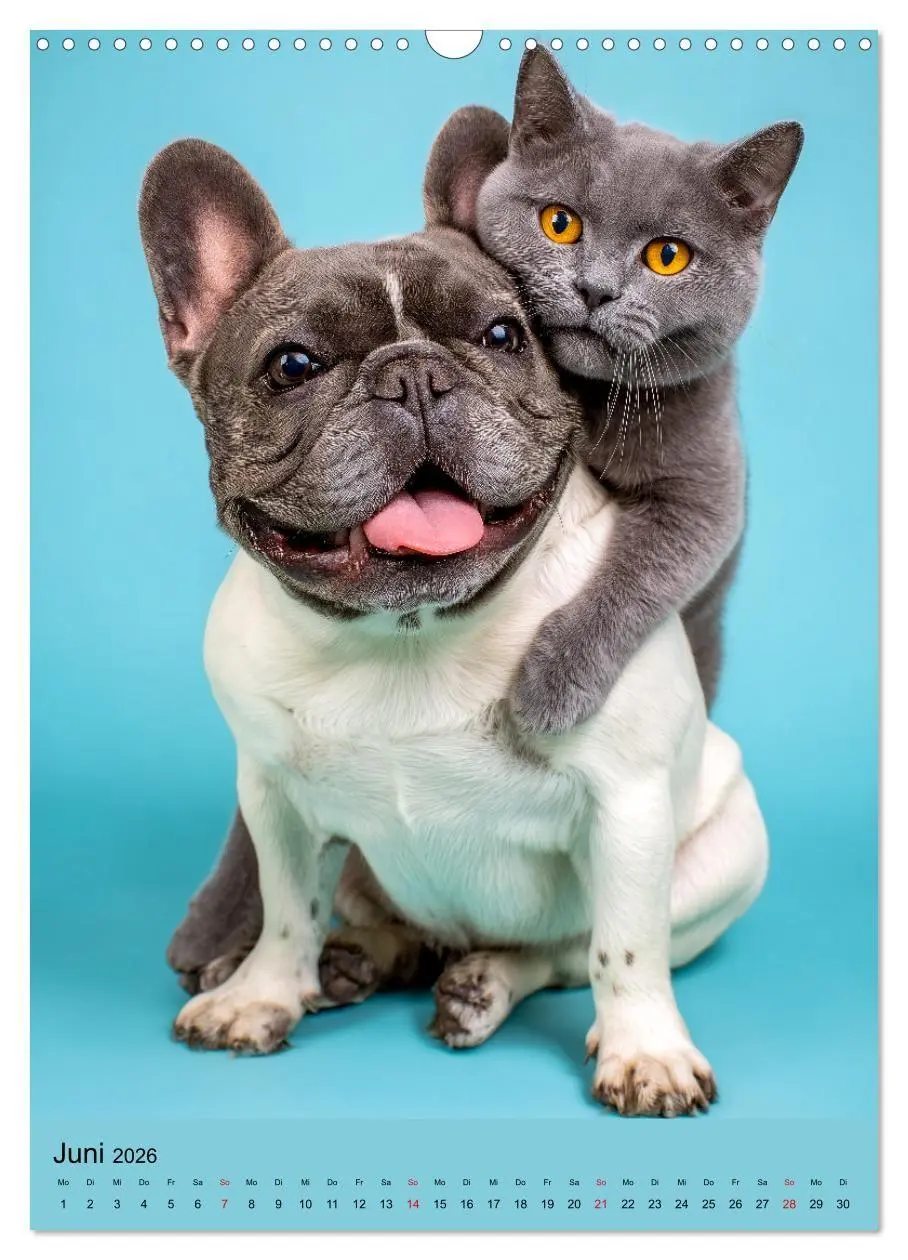 Bild: 9783516670004 | Freundschaftskalender - Katzen und Hunde, beste Freunde in Umarmung...