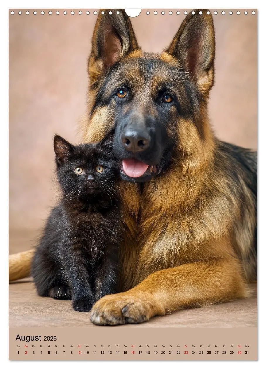 Bild: 9783516670004 | Freundschaftskalender - Katzen und Hunde, beste Freunde in Umarmung...