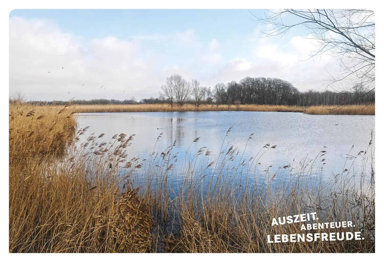 Bild: 9783616110004 | 52 kleine &amp; große Eskapaden im Münsterland | Ab nach draußen! | Jäger