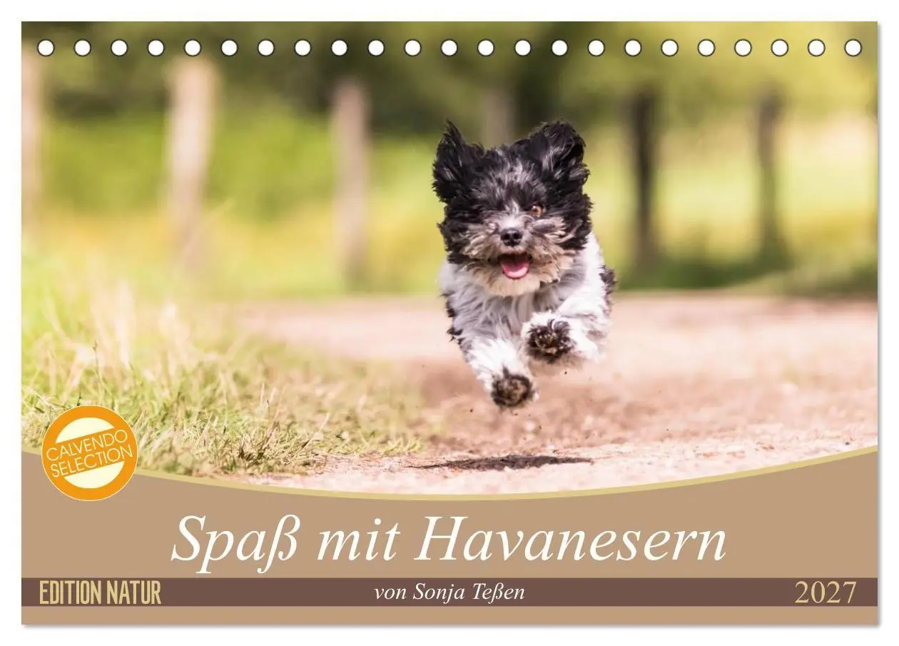 Cover: 9783569990104 | Spaß mit Havanesern (Tischkalender 2027 DIN A5 quer), CALVENDO...