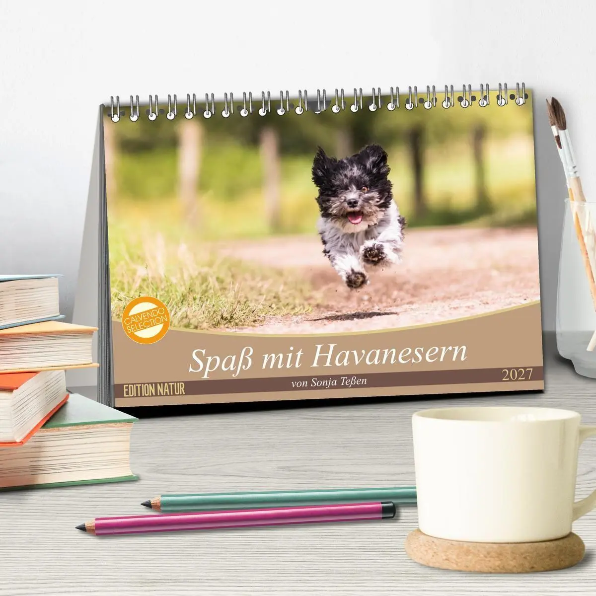 Bild: 9783569990104 | Spaß mit Havanesern (Tischkalender 2027 DIN A5 quer), CALVENDO...