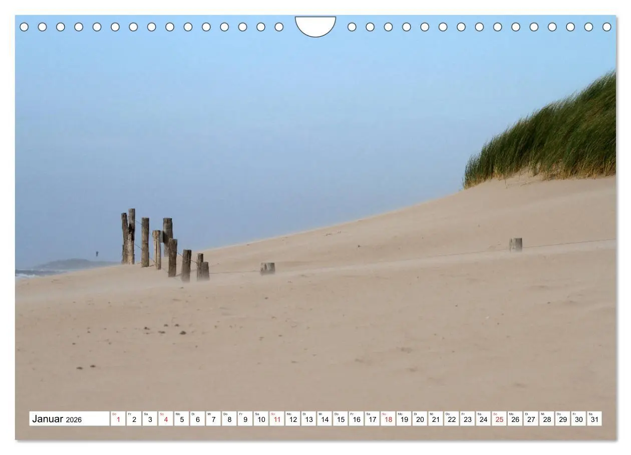 Bild: 9783516030204 | Callantsoog (Wandkalender 2026 DIN A4 quer), CALVENDO Monatskalender