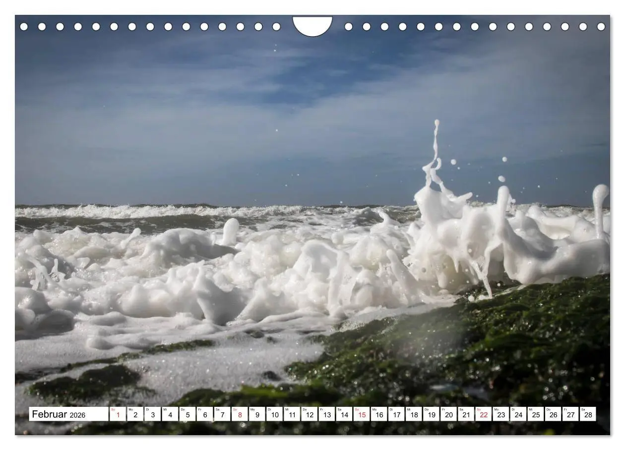 Bild: 9783516030204 | Callantsoog (Wandkalender 2026 DIN A4 quer), CALVENDO Monatskalender