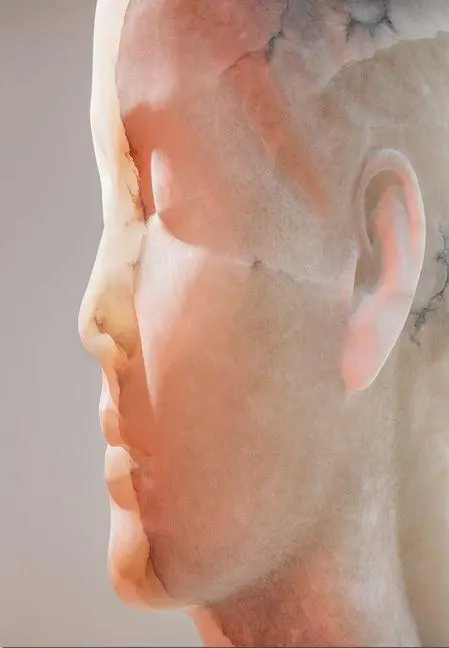 Cover: 9788410290204 | Jaume Plensa: Inner Matter | Buch | Englisch | 2025 | RM Verlag SL