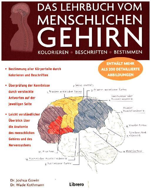 Cover: 9789463590204 | DAS LEHRBUCH VOM MENSCHLICHEN GEHIRN | Joshua Gowin (u. a.) | Buch