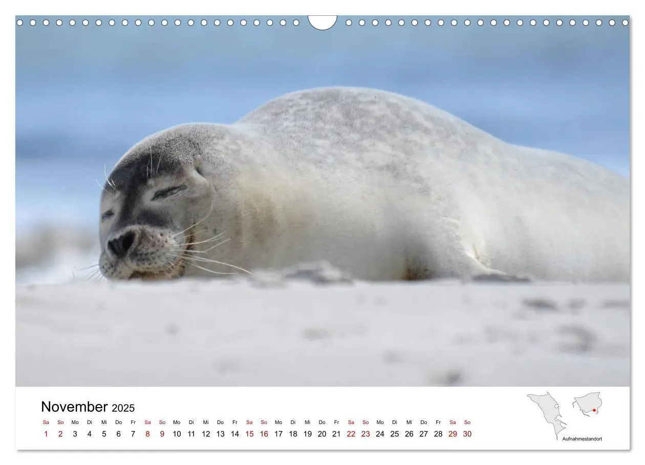 Bild: 9783435390304 | Mitreisekalender 2025 Helgoland (Wandkalender 2025 DIN A3 quer),...