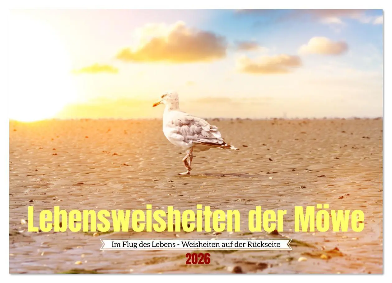 Cover: 9783457310304 | Lebensweisheiten der Möwe - Im Flug des Lebens (Wandkalender 2026...