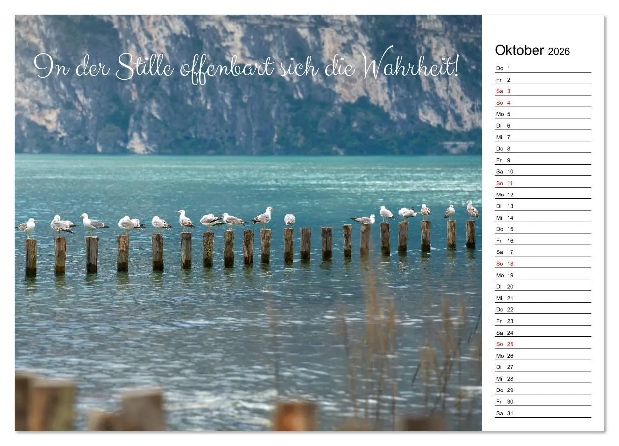 Bild: 9783457310304 | Lebensweisheiten der Möwe - Im Flug des Lebens (Wandkalender 2026...