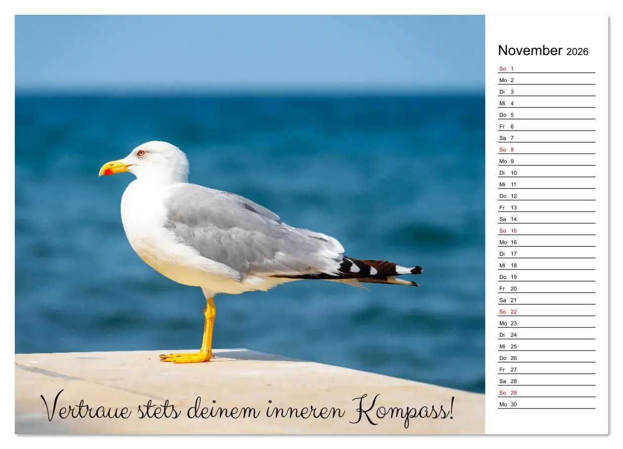 Bild: 9783457310304 | Lebensweisheiten der Möwe - Im Flug des Lebens (Wandkalender 2026...