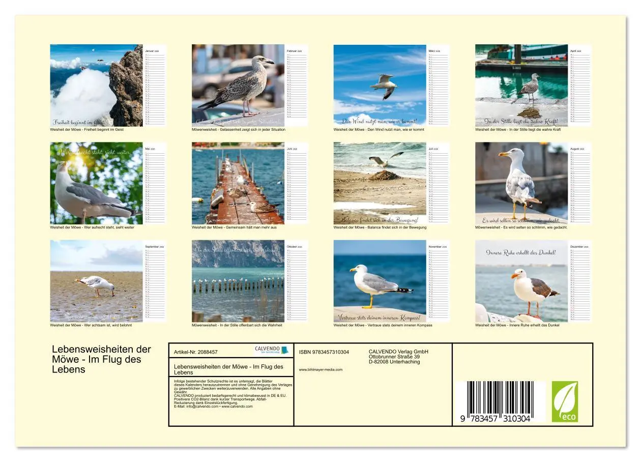Bild: 9783457310304 | Lebensweisheiten der Möwe - Im Flug des Lebens (Wandkalender 2026...