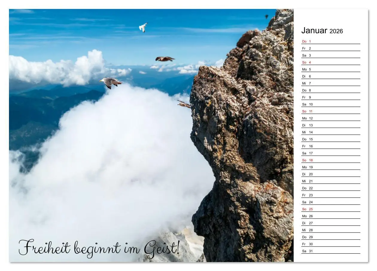 Bild: 9783457310304 | Lebensweisheiten der Möwe - Im Flug des Lebens (Wandkalender 2026...