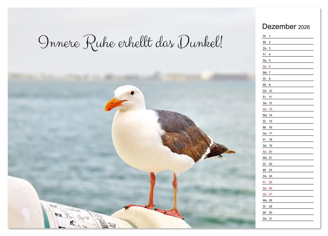 Bild: 9783457310304 | Lebensweisheiten der Möwe - Im Flug des Lebens (Wandkalender 2026...
