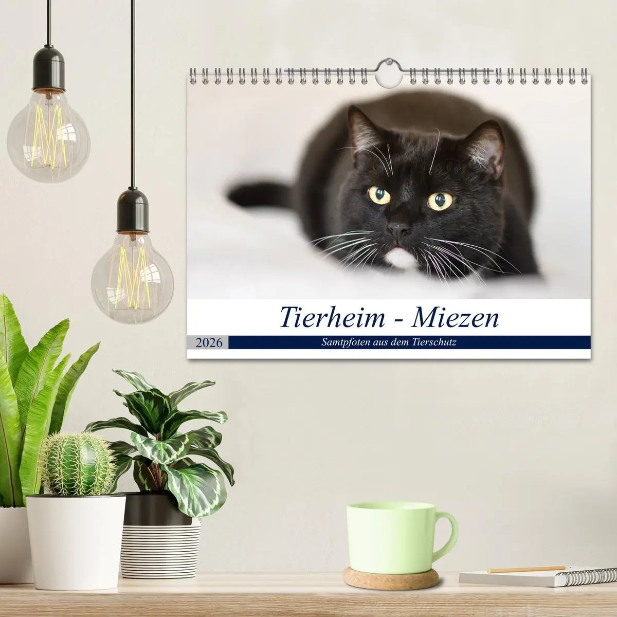 Bild: 9783516020304 | Tierheim - Miezen (Wandkalender 2026 DIN A4 quer), CALVENDO...