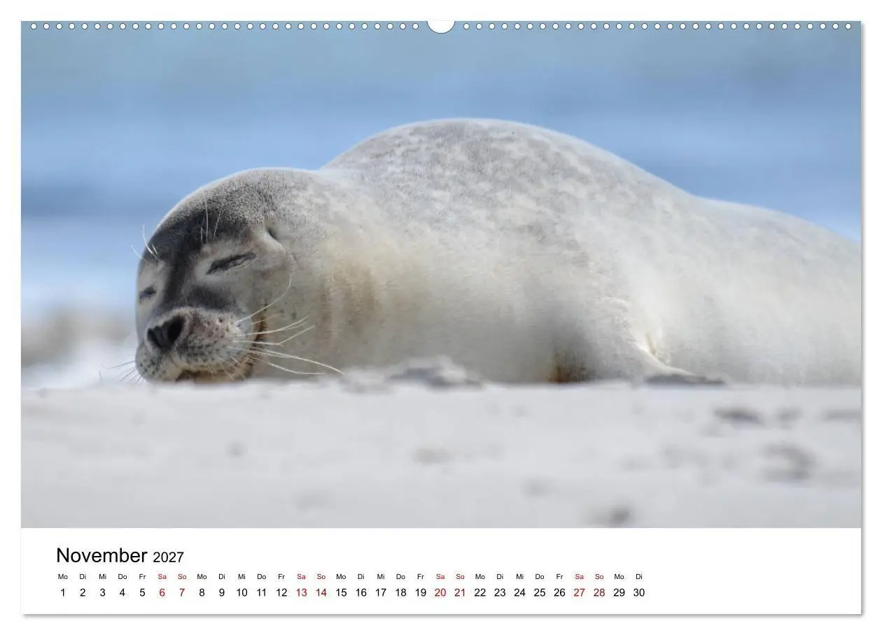 Bild: 9783569800304 | Mitreisekalender 2027 Helgoland (Wandkalender 2027 DIN A2 quer),...