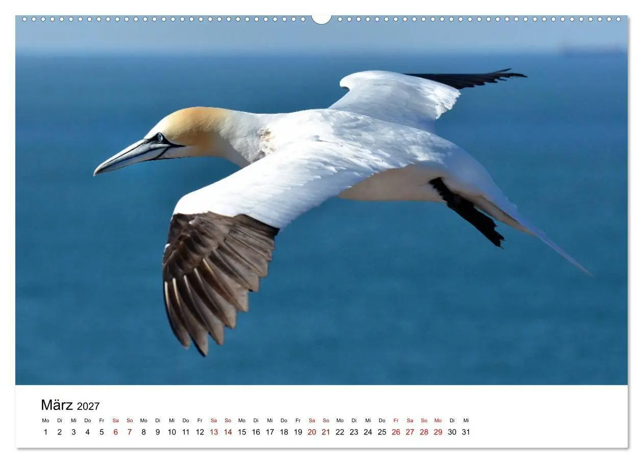 Bild: 9783569800304 | Mitreisekalender 2027 Helgoland (Wandkalender 2027 DIN A2 quer),...