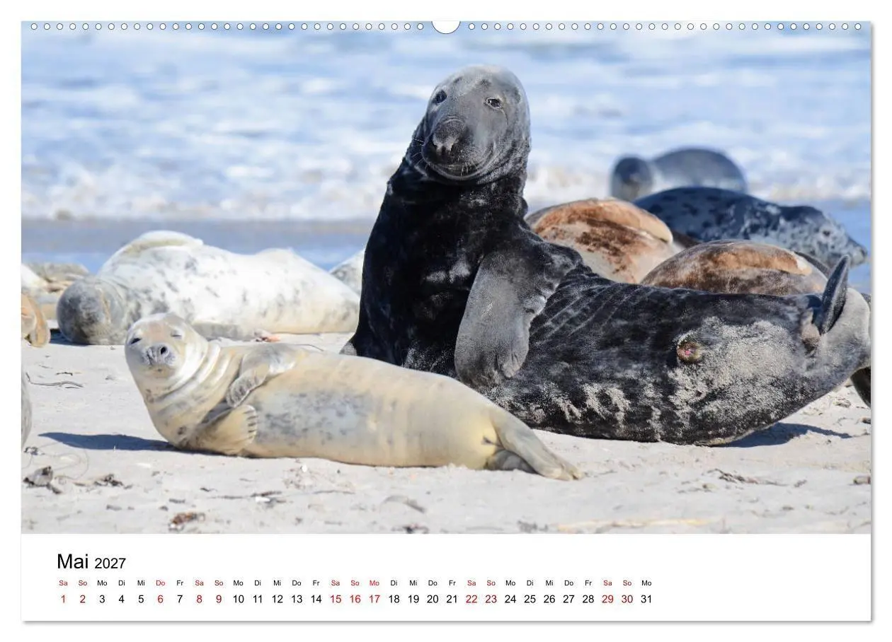 Bild: 9783569800304 | Mitreisekalender 2027 Helgoland (Wandkalender 2027 DIN A2 quer),...