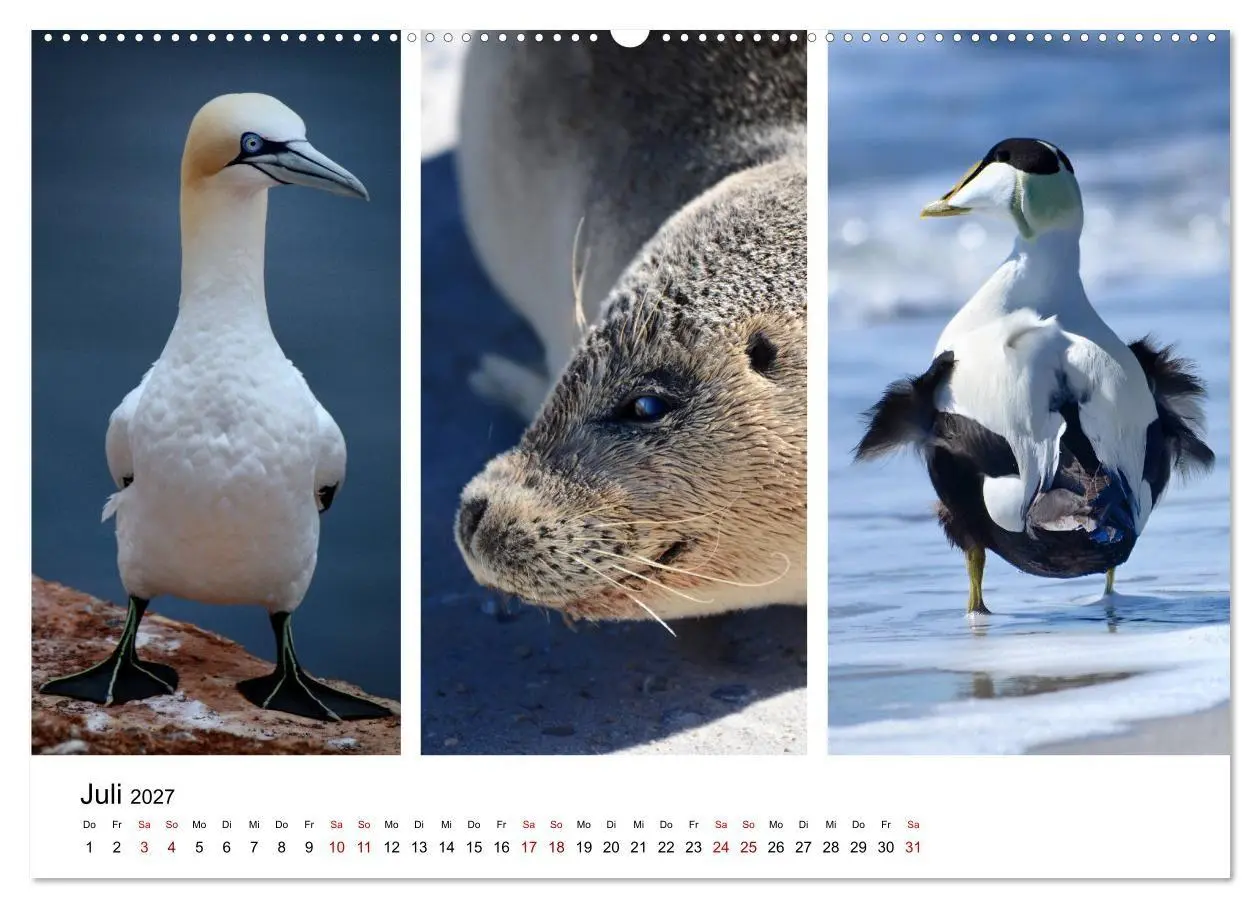 Bild: 9783569800304 | Mitreisekalender 2027 Helgoland (Wandkalender 2027 DIN A2 quer),...