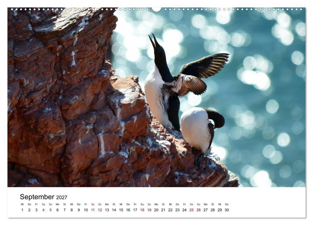 Bild: 9783569800304 | Mitreisekalender 2027 Helgoland (Wandkalender 2027 DIN A2 quer),...