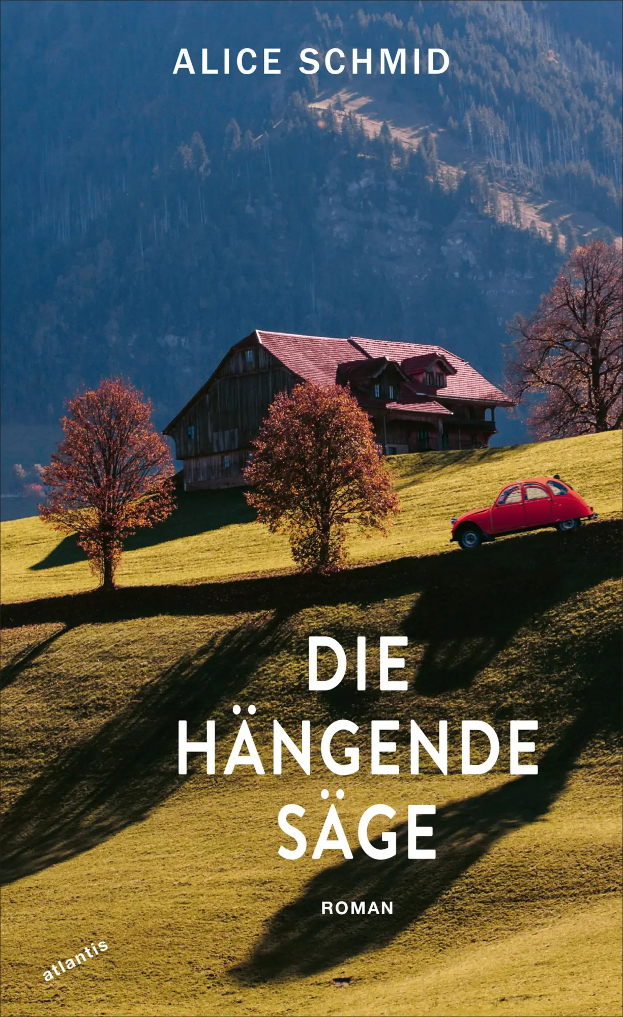Cover: 9783715250304 | Die hängende Säge | Alice Schmid | Buch | 176 S. | Deutsch | 2024