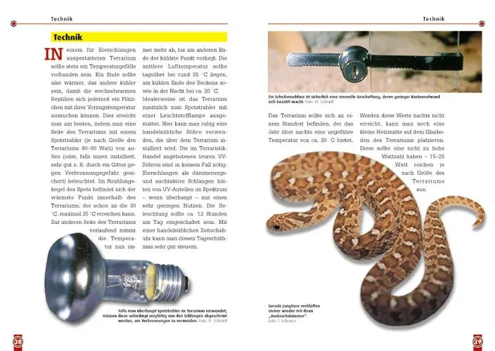 Bild: 9783866590304 | Die afrikanische Eierschlange | Dasypeltis Scabra | Thomas Scheurer