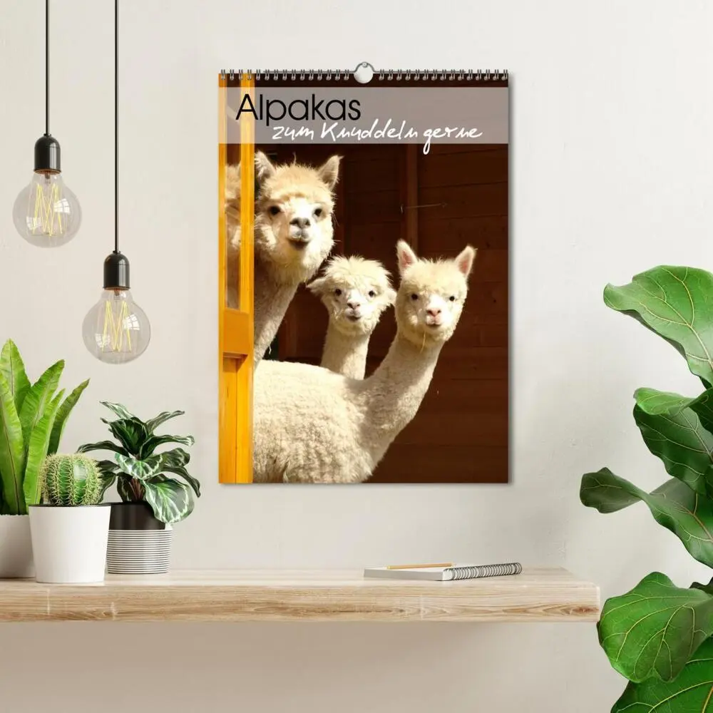 Bild: 9783435990504 | Alpakas zum Knuddeln gerne (Wandkalender 2025 DIN A3 hoch),...