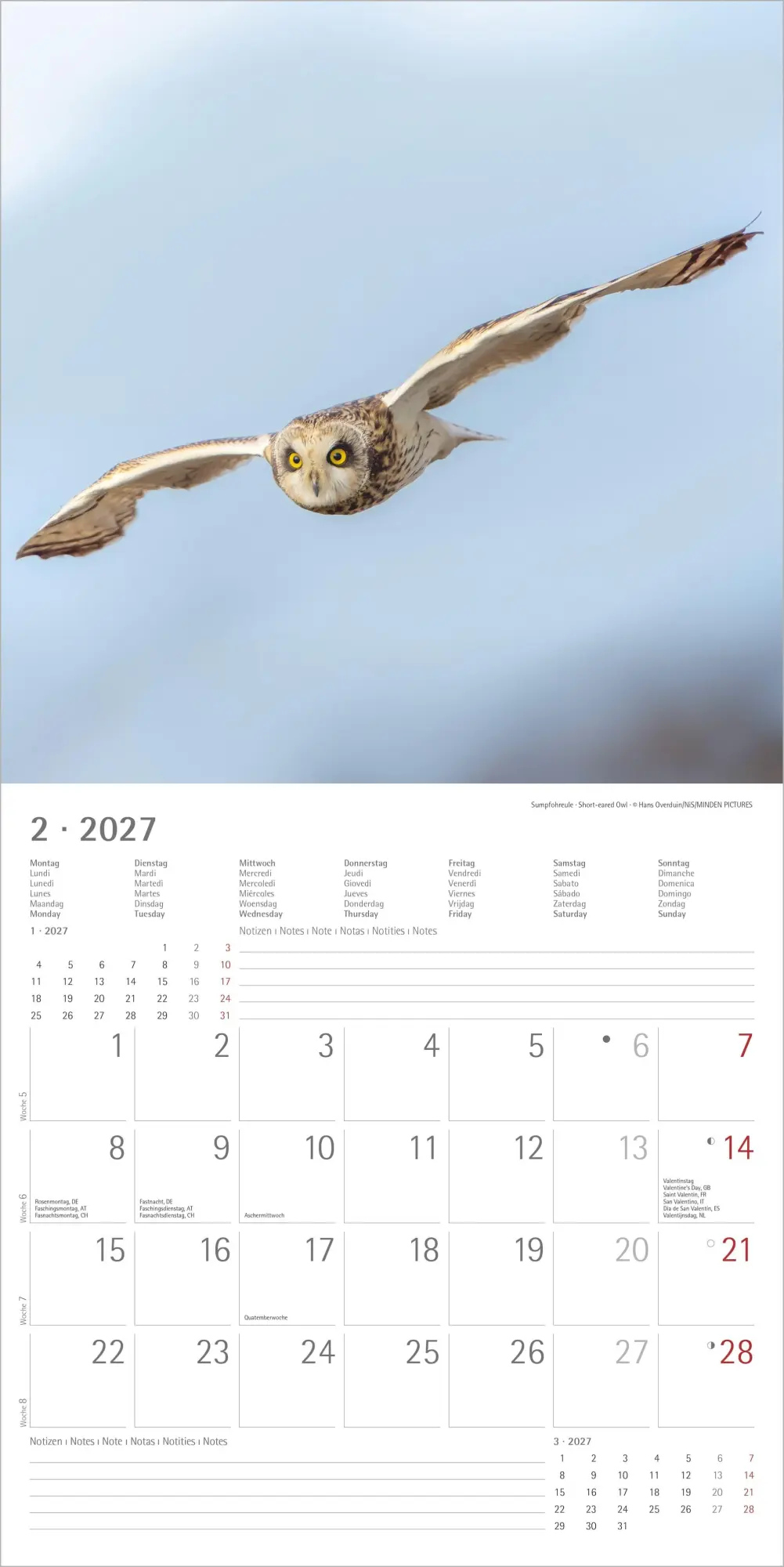 Bild: 4069095010604 | Eulen 2027 | Neumann Verlage GmbH &amp; Co KG | Kalender | 14 S. | Deutsch