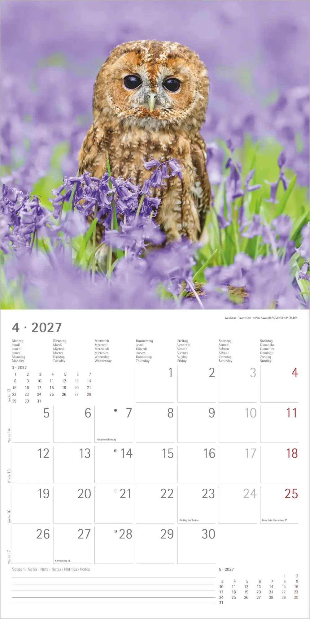 Bild: 4069095010604 | Eulen 2027 | Neumann Verlage GmbH &amp; Co KG | Kalender | 14 S. | Deutsch