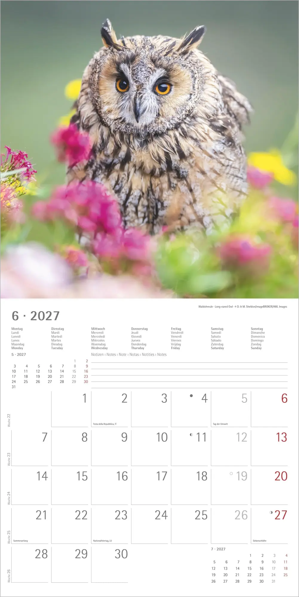 Bild: 4069095010604 | Eulen 2027 | Neumann Verlage GmbH &amp; Co KG | Kalender | 14 S. | Deutsch