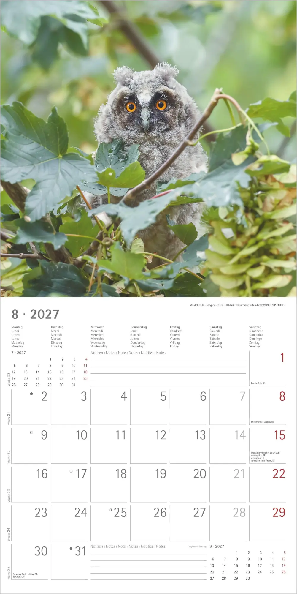 Bild: 4069095010604 | Eulen 2027 | Neumann Verlage GmbH &amp; Co KG | Kalender | 14 S. | Deutsch