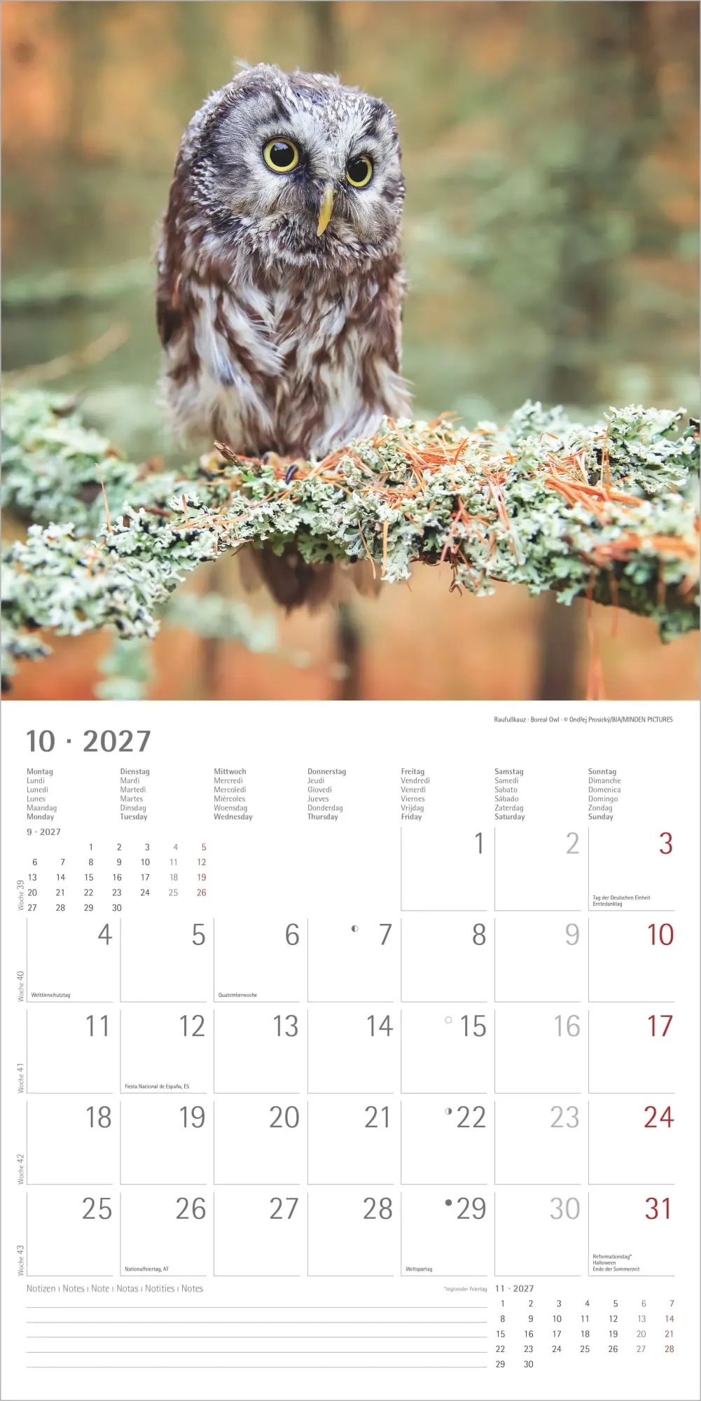Bild: 4069095010604 | Eulen 2027 | Neumann Verlage GmbH &amp; Co KG | Kalender | 14 S. | Deutsch