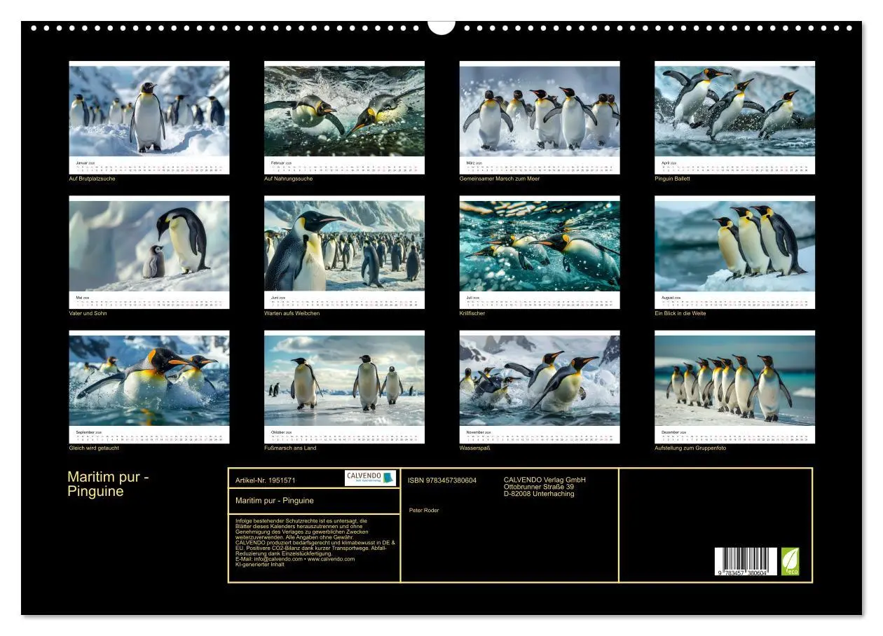 Bild: 9783457380604 | Maritim pur - Pinguine (Wandkalender 2026 DIN A2 quer), CALVENDO...