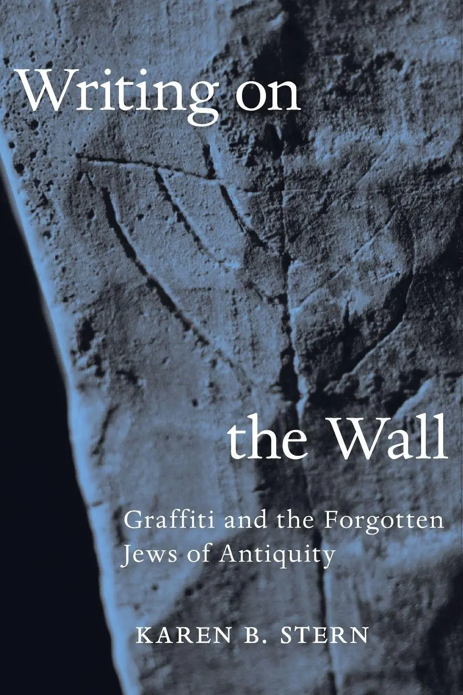 Cover: 9780691210704 | Writing on the Wall | Graffiti and the Forgotten Jews of Antiquity