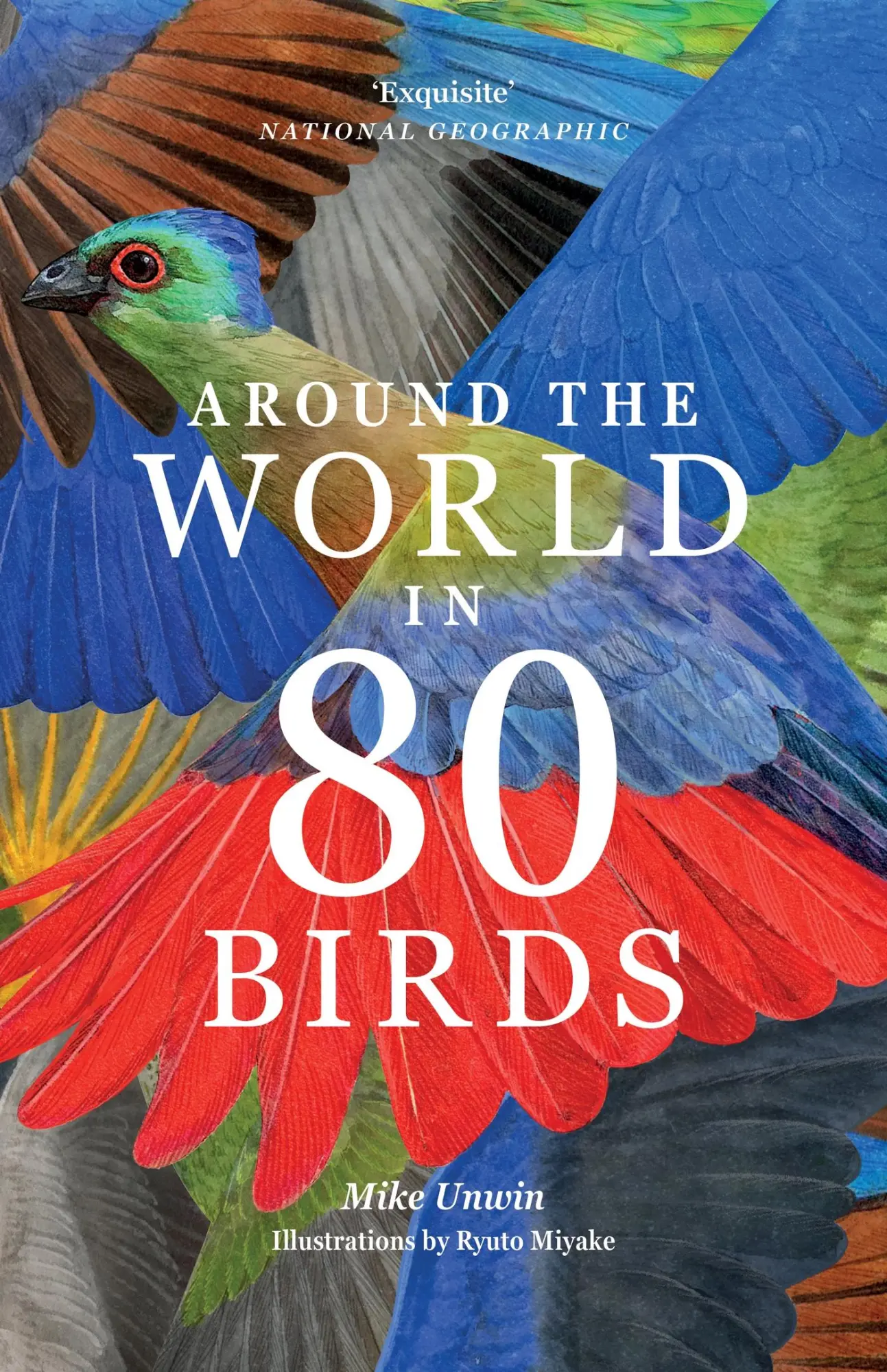 Cover: 9781399610704 | Around the World in 80 Birds | Mike Unwin | Taschenbuch | 224 S.